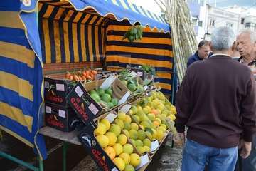 Día del Artesano y Labrador en Jinámar (Foto TA)